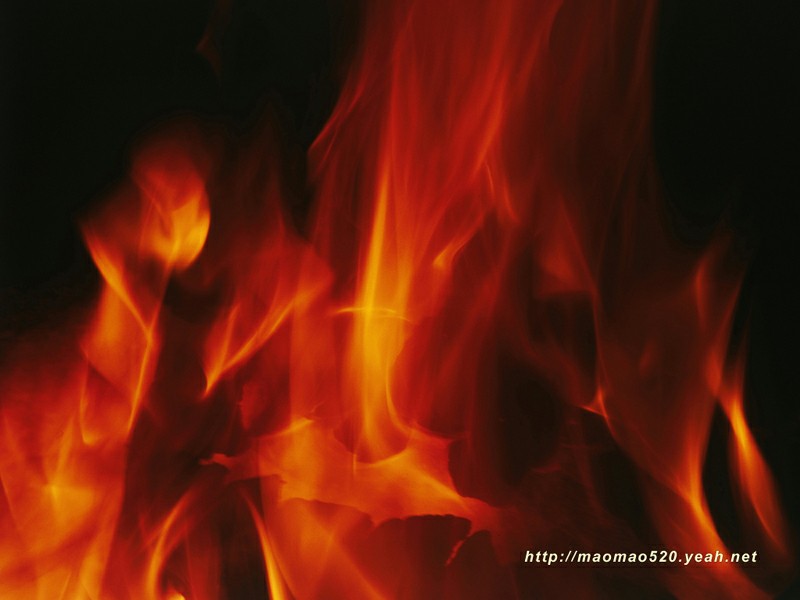 fire_2031.jpg