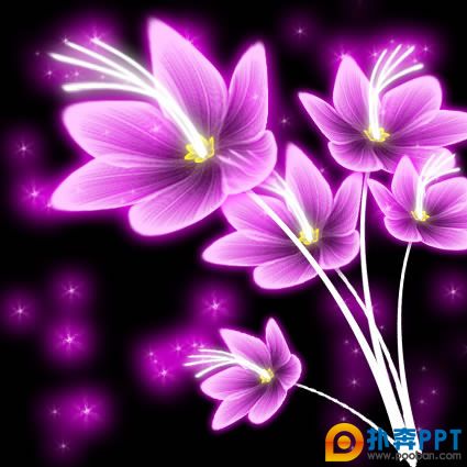 1023960_01.jpg