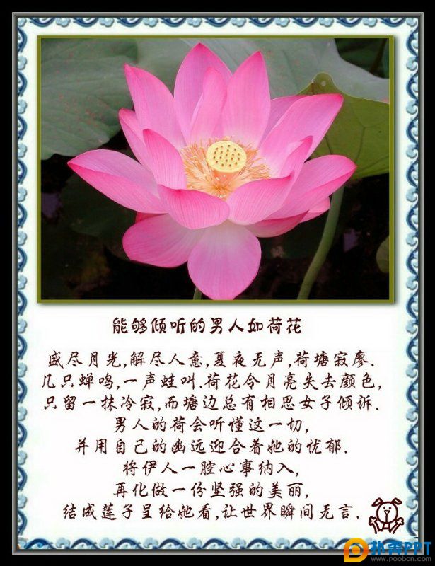 Ҳ绨