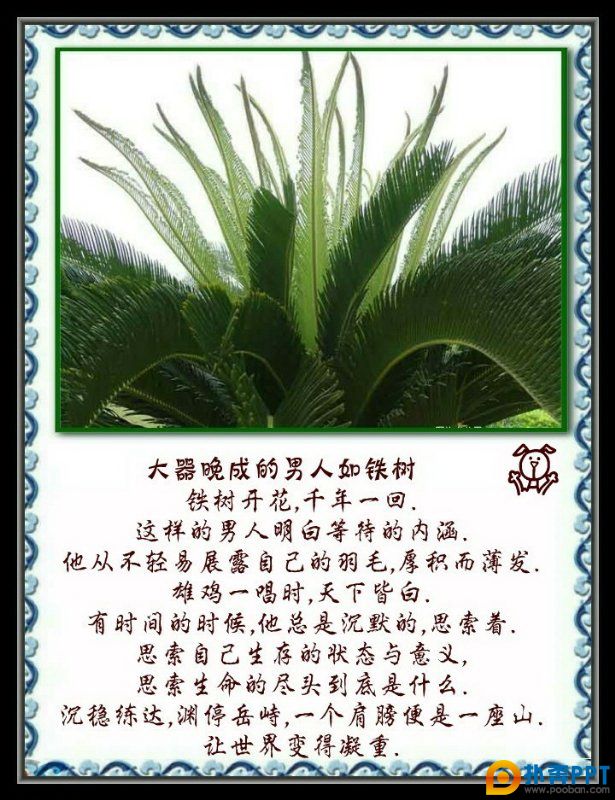 Ҳ绨