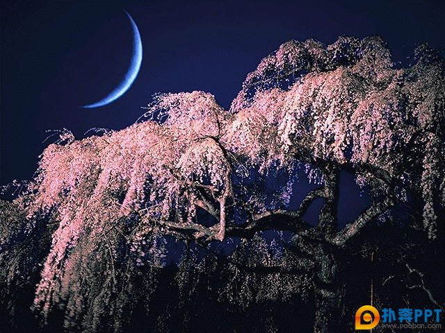 λðɭ֣