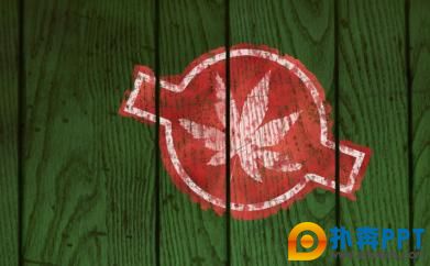 2008Ӿ