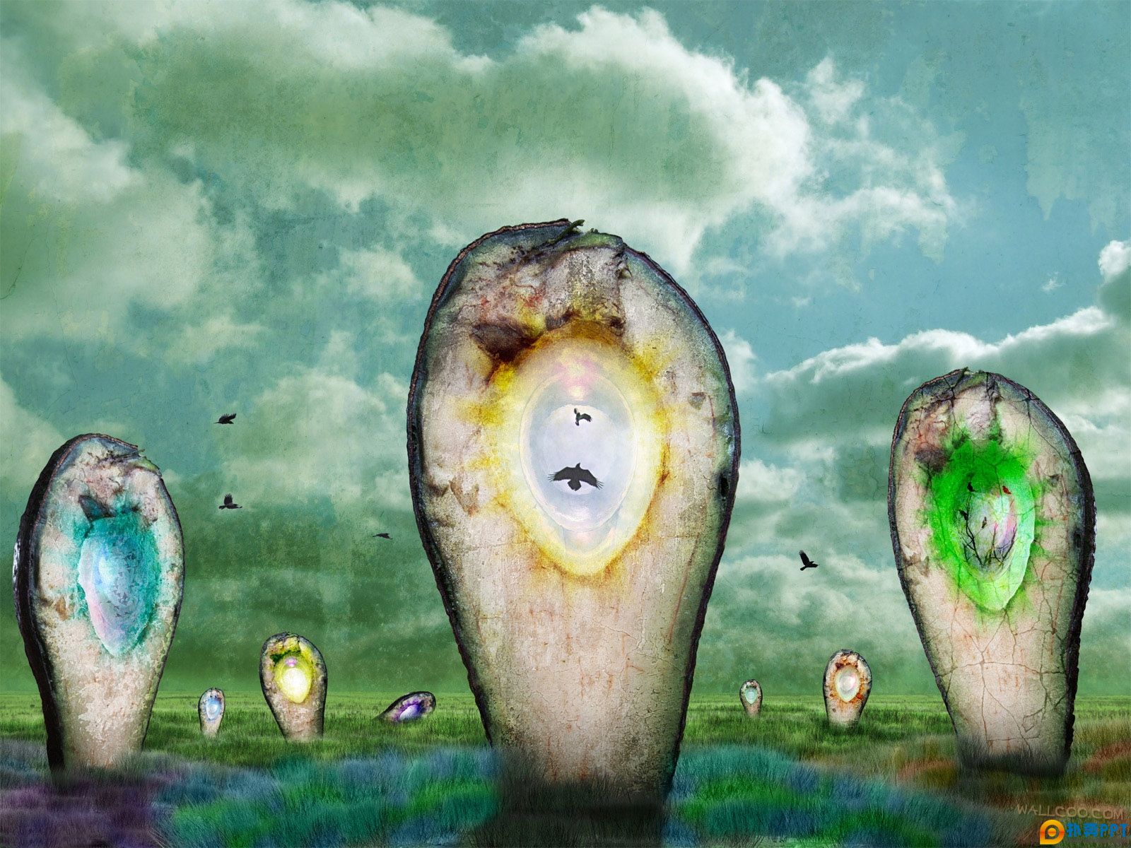 2008Ӿ