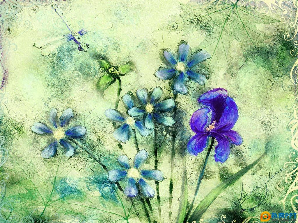 2008Ӿ