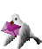 bird2.gif
