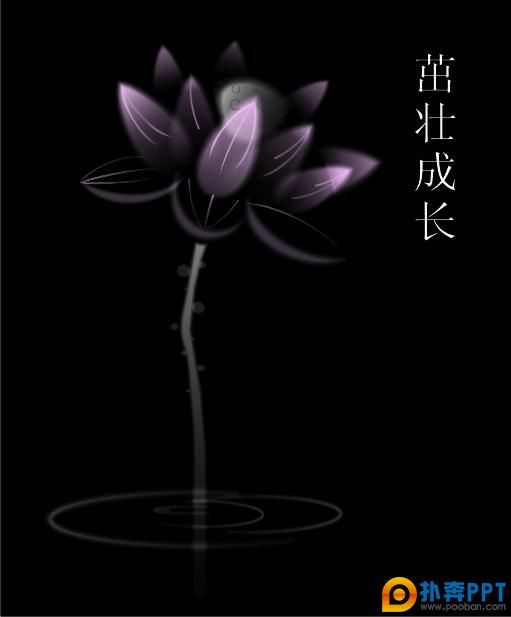 ɻʸز[cdr]