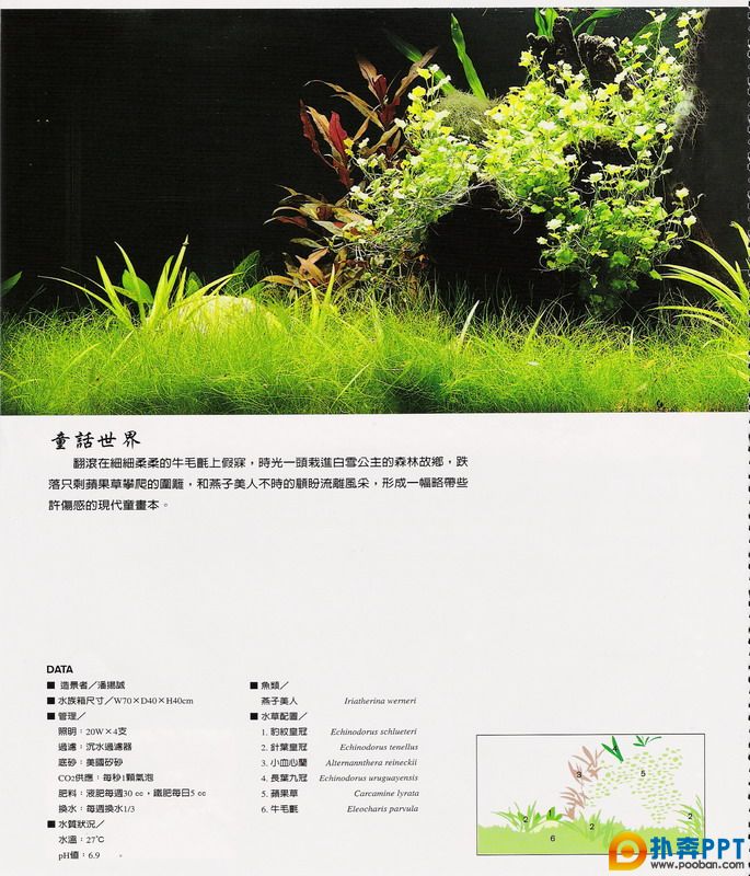 20070930_8dfa97f89e67b13df97bLvH42qaovZef.jpg