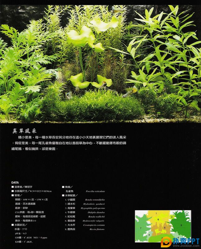 20070930_22f2ae9f46d93a6b2aaeYlRxQapzhSAv.jpg