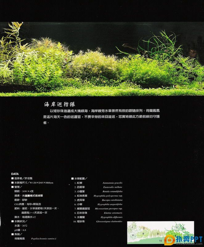 20070930_7fc1505b00e9fe27e9d0TmXQbHEs0bZz.jpg