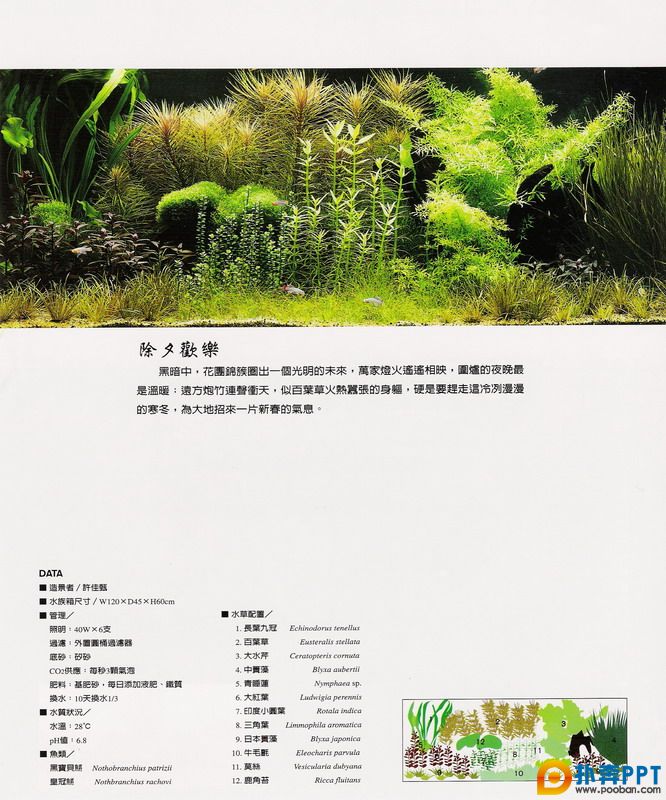 20070930_d49b6517394dc87bb8d459RMsjeNvDfc.jpg