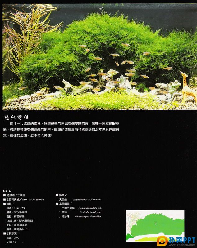 20070930_0201f753a5b756a401b0iQIpIw6fmip2.jpg
