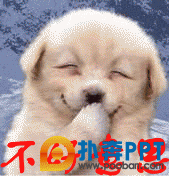 PPTصЩ