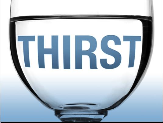 ȫPPT֮THIRST"