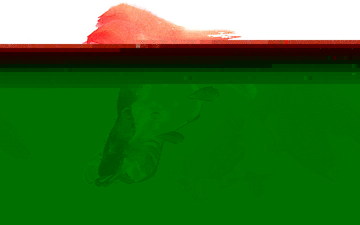 ˮīزģ㣩