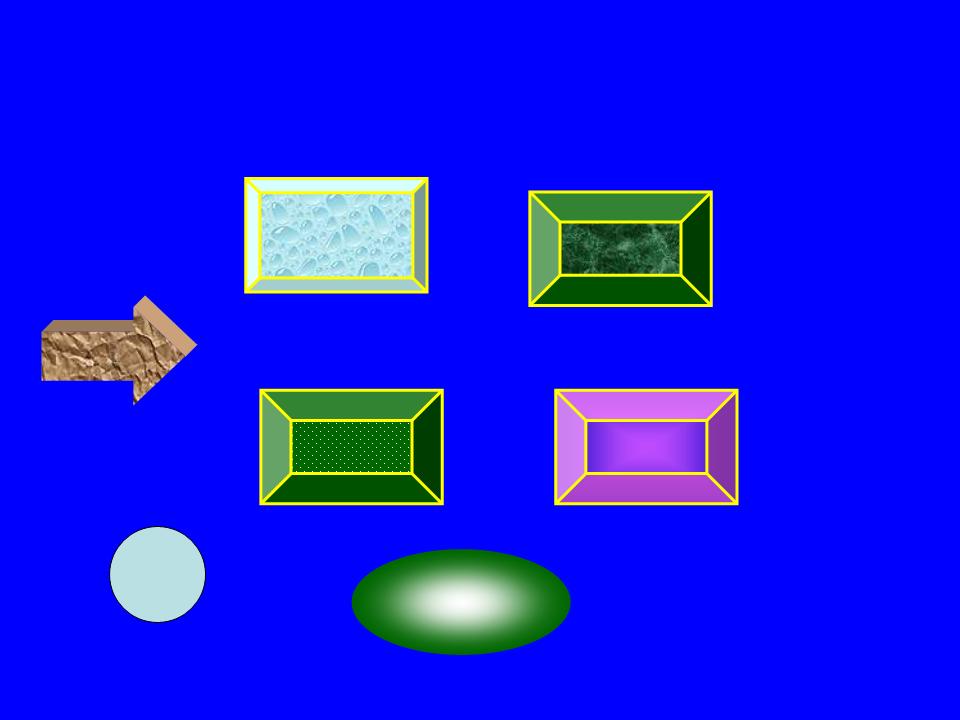õƬ4.JPG