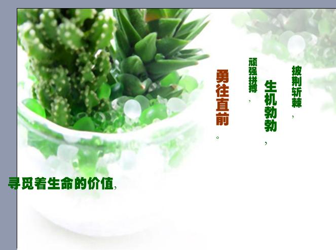 qingren3.jpg