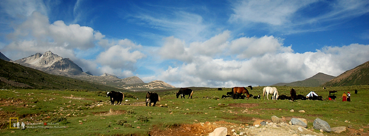 20079261657.jpg