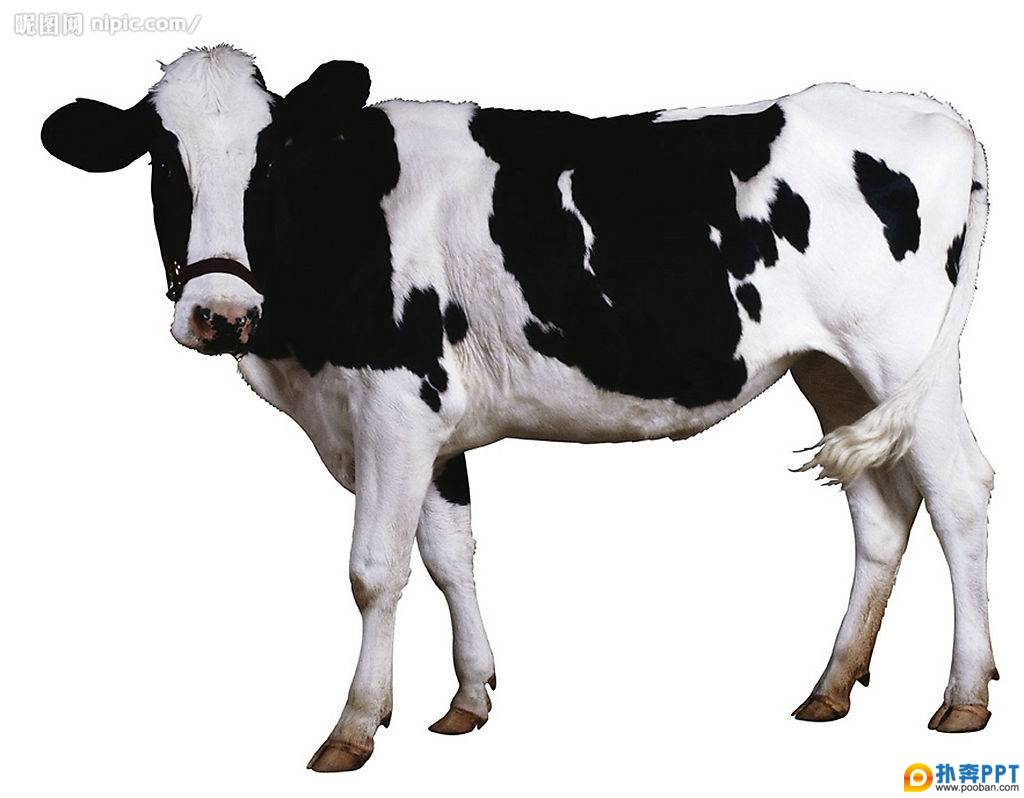 ʵֹпЧ