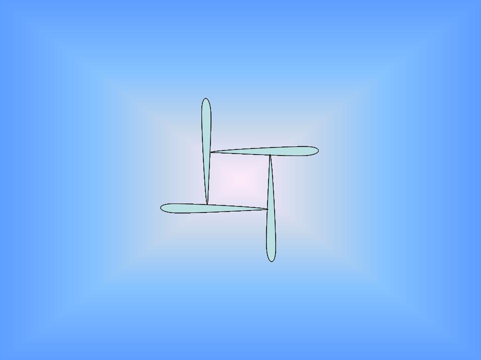 õƬ2.JPG