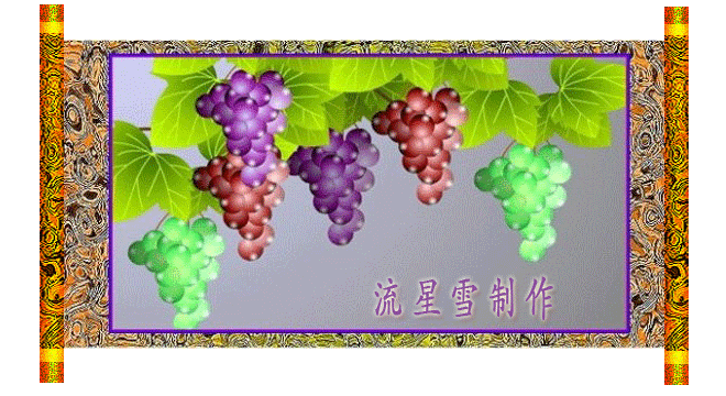 ޱ-1.gif