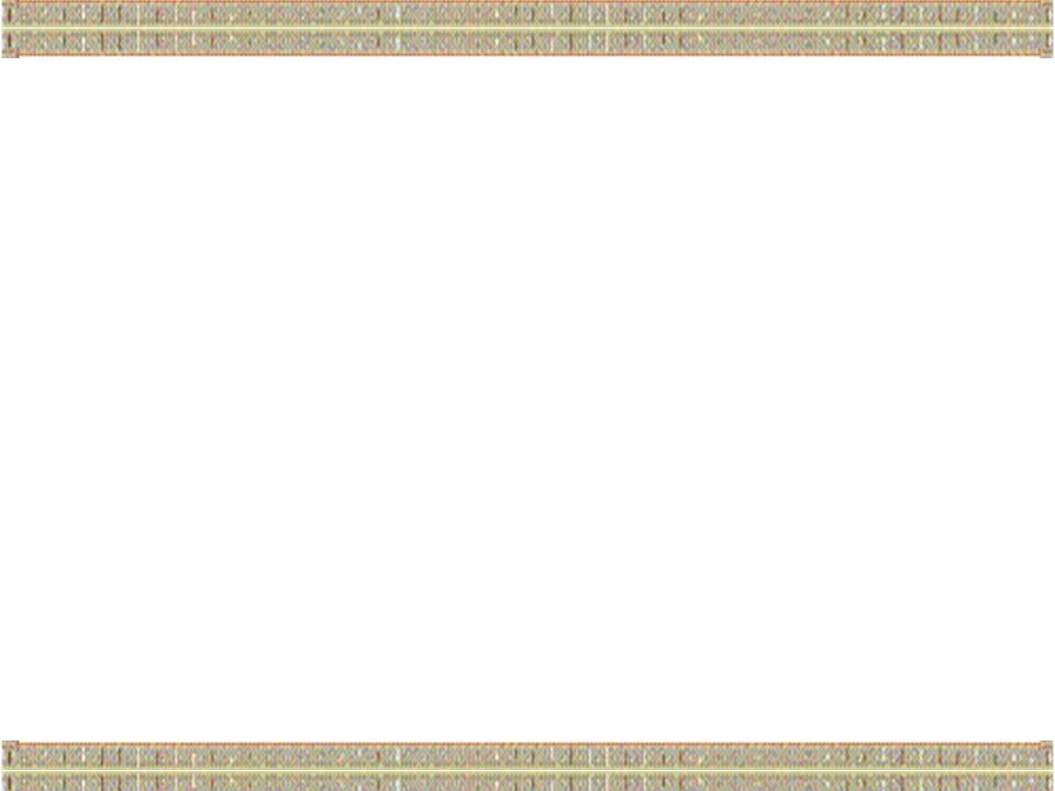 õƬ2.JPG