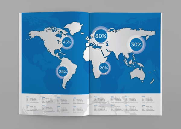 WDSE2013年报画册版式设计欣赏