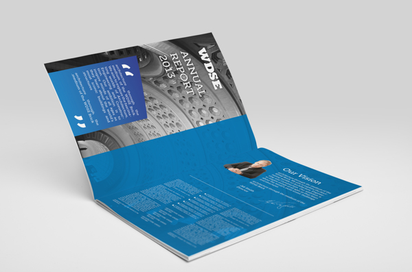 WDSE2013年报画册版式设计欣赏