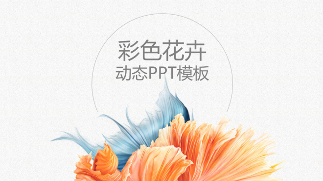彩色花卉计划总结PPT模板